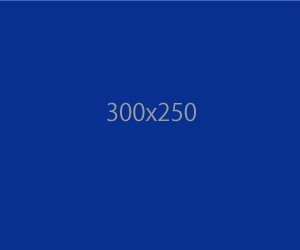 300x250